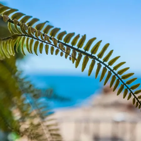 Apartment Adnania Seaviews & Pool Almunecar